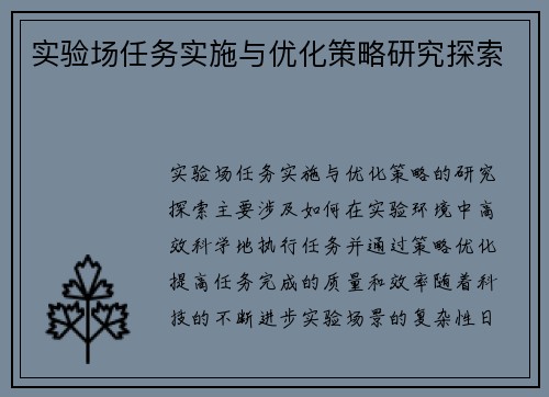 实验场任务实施与优化策略研究探索